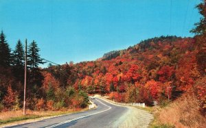 Vintage Postcard Greetings from Franklin KY Kentucky Jack Frost's Autumn