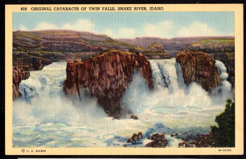 Idaho SNAKE RIVER Original Cataracts of Twin Falls LINEN