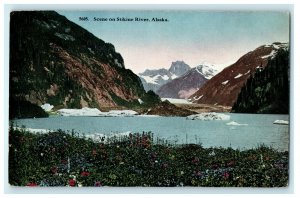 1920 Flowers and Mountains View on Stikine River, Alaska AK Antique Postcard