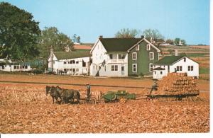 US    PC2345   AMISH COUNTRY HARVEST TIME, LANCASTER, PA