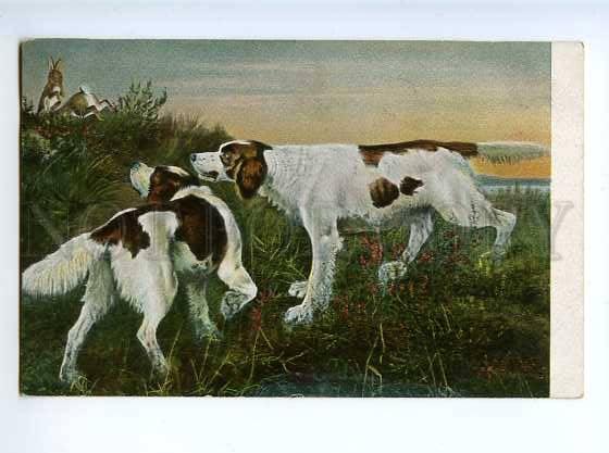 183002 RUSSIA J. von Holst SETTER dogs hunt rabbits Vintage