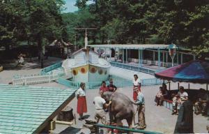 Elephant at Children's Zoo - Pittsburgh PA, Pennsylvania