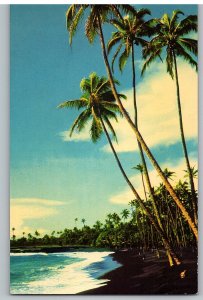 Black Sands Beach Palm Trees Along Jet Black Sand Shore Puna Hawaii Postcard