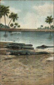 TUCK Alligators Series #2645 c1910 Postcard #2