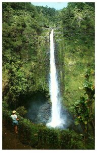 Admiring Akaka Falls Hilo Hawaii Postcard