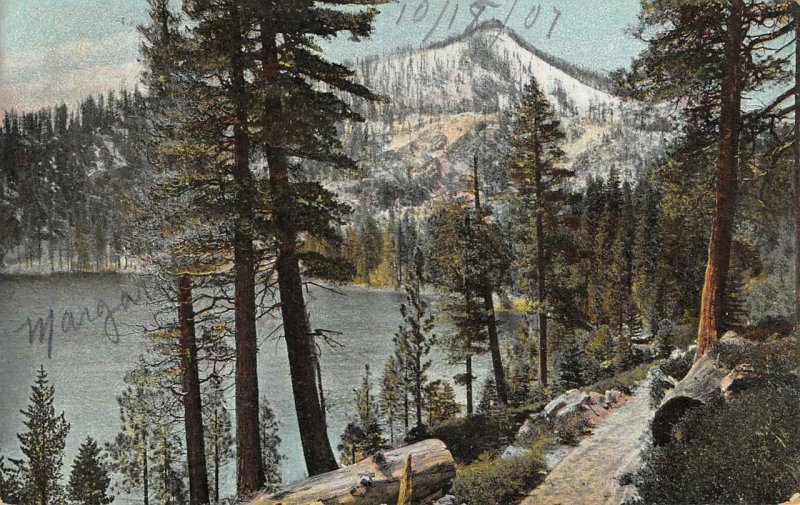 Cascade Lake from the road LAKE TAHOE California 1907 Vintage Postcard 