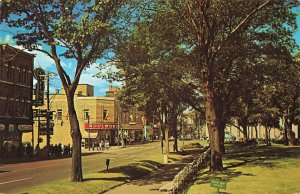 Saint John NB Canada Charlotte Street Woolworth's Storefronts Postcard