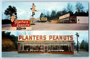 1960 South Richmond Virginia VA Postcard Peanut Store Route 1 Dual View Building