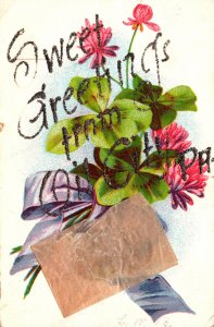 Pennsylvania Sweet Greetings From Oil City With Flowers 1907