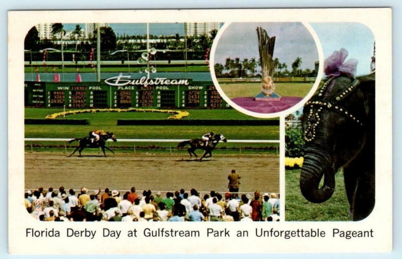 3 Postcards HALLANDALE, FL ~ Florida Derby GULFSTREAM PARK Horse Racing c1950s 