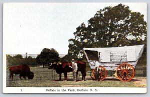 Buffalo NY Animal & Indian~Meeker Celebrates War of Extinction~Native Americana