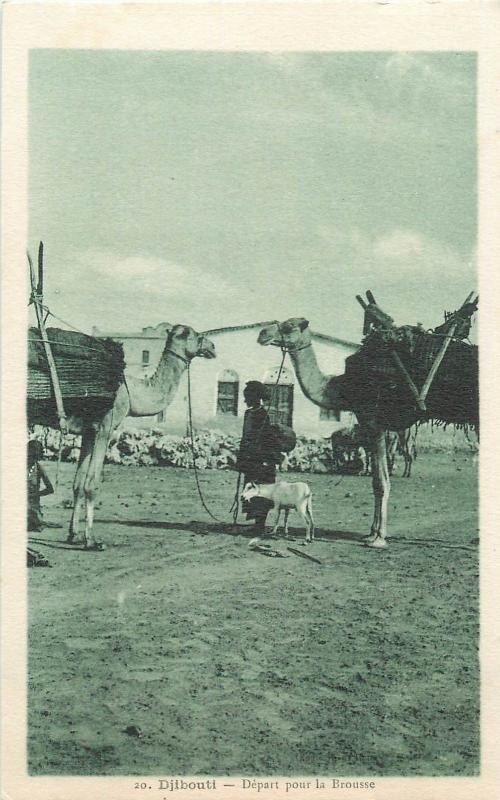 Djibouti - Depart pour la Brousse, camels, ethnic, goat