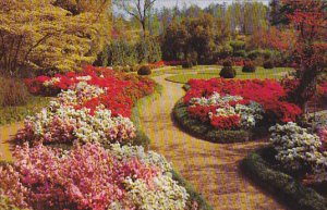 Georgia Atlanta The Garden At The Cerebral Palsy Center Of Atlanta