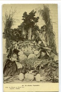 Alaska Vegetables Garden Harvest Farming 1910c postcard