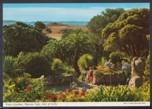 Cornwall Postcard - Tresco Gardens, Neptune Steps, Isles of Scilly   RR4674