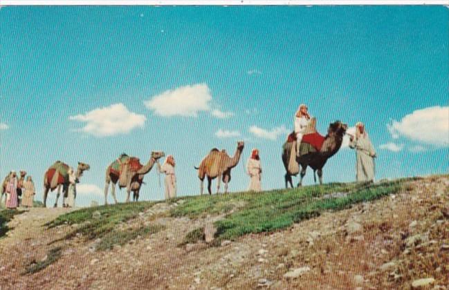 Florida Lakw Wales Camel Caravan Black Hills Passion Play