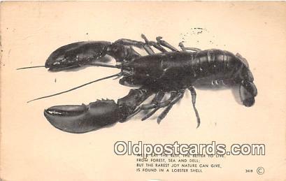 We'll Eat The Best, Lobster Shell 1949 light internal crease, internal wear
