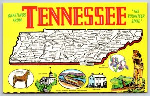State Maps~Greetings From Tennessee~Walking Horse~Columbia~Pulaski~Vtg Postcard