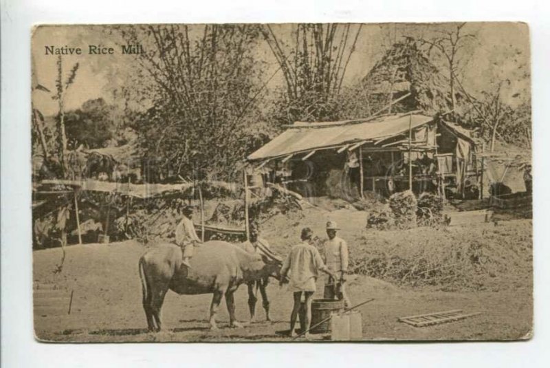 426047 Pakistan India Native Rice Mill Vintage postcard