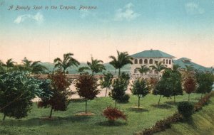 c1900 View A Beauty Spot in the Tropics Panamas Building Vintage Postcard