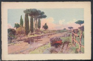 Italy Postcard - Rome - Roma - Via Appia Antica    T6421