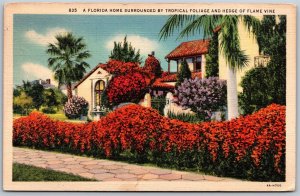 Vtg Florida FL Home Tropical Foilage Hedge of Flame Vine 1930s Linen Postcard
