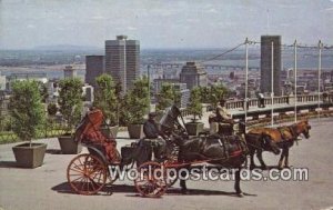 Old French Horsedrawn Carriages on Mount Royal Montreal, PQ Canada Unused 