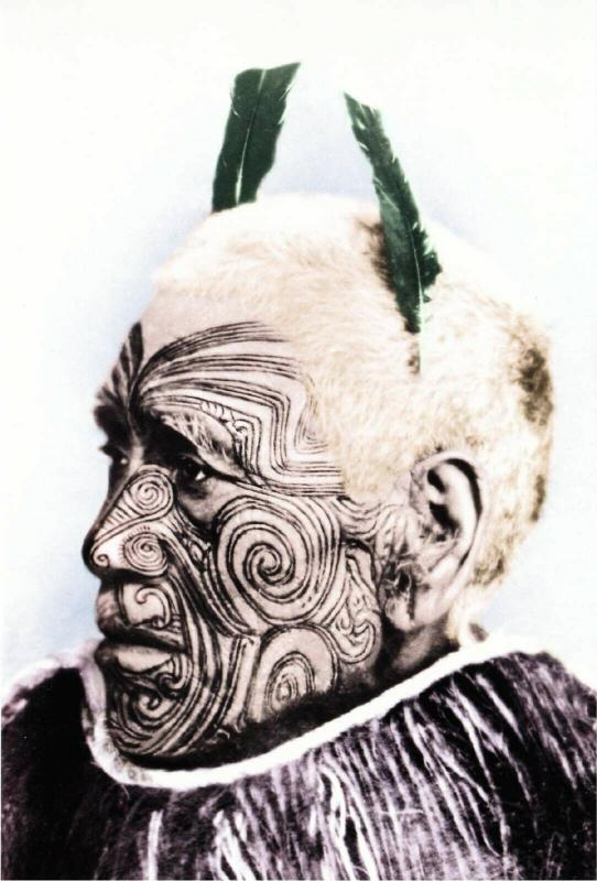 New Zealand Maori Man with Facial Tattoo and Feathers Modern Postcard