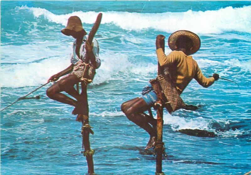 Stilt fishing in Sri Lanka