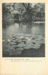 Chicago Illinois Lily Pond Washington Park 1920s Postcard undivided 1869