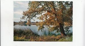 BF22425 en sologne a l automne un etang  france  front/back image