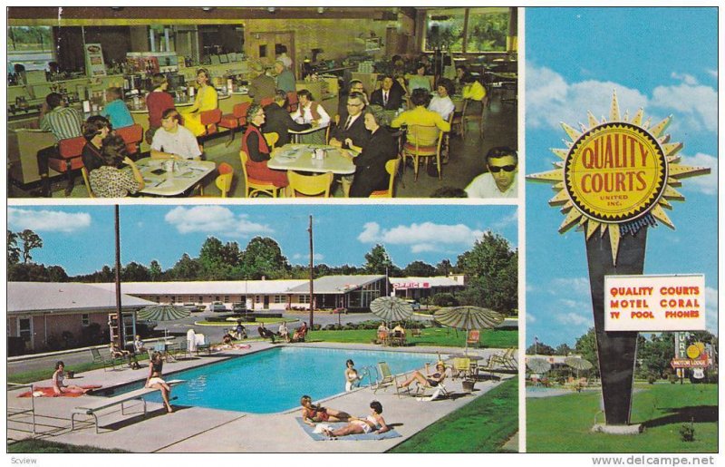 Swimming Pool,  Quality Courts Motel Coral & Restaurant,  Rocky Mount,  North...