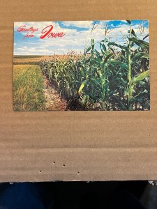 UNUSED POSTCARD - GREETINGS FROM IOWA