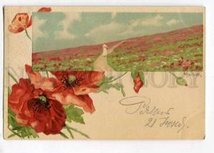 258476 MAILICK Poppies embossed 1904 year RPPC RUSSIA Kresttsy