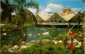 Postcard FL Tampa Hospitality House Busch Gardens Parrots Swans Geese 1960s J9