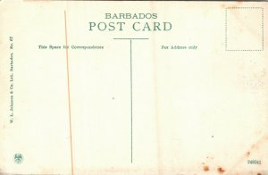 Postcard Barbados Bridgetown Queen's Park Water Fountain ~1910 M48