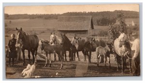 Vintage 1910's RPPC Postcard Man Girl Chickens & Horses on the Country Farm