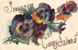 J55/ Coney Island Amusement Park New York Postcard c1910 Glitter Greetings 30