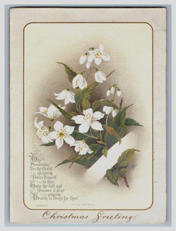 1884 Victorian Christmas Card Cecelia Havergal Poem White Flower Vine G Ephemera Chromo