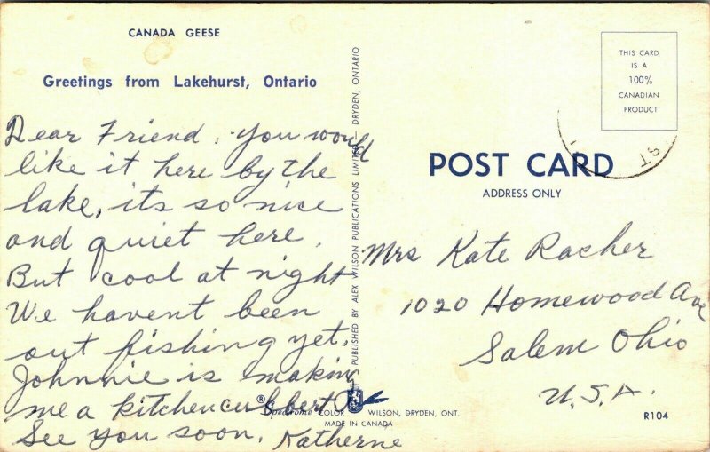 Greetings From Lakehurst Ontario Canada Geese Postcard PM WOB Note VTG Vintage 