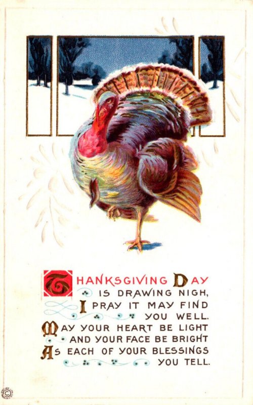 Thanksgiving Greetings With Turkey