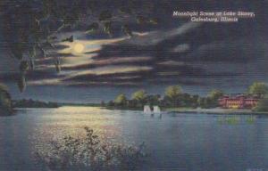 Illinois Galesburg Moonlight Scene At Lake Storey Curteich