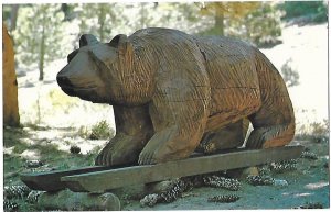 Giant Carved Wooden Bear California