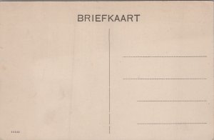 Netherlands Hotel Albion Vlissingen Postcard C373