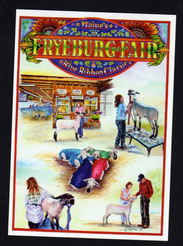 ME Fryeburg County Fair, Maine Postcard, Sheep, Lambs PC