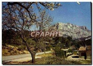 Modern Postcard Aix en Provence Sainte Victoire Mountain