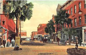 Palatka FL Dirt Lemon Street View Horse & Wagons Store Front's Postcard