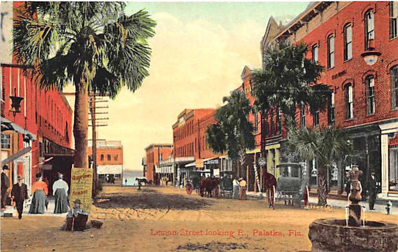 Palatka FL Dirt Lemon Street View Horse & Wagons Store Front's Postcard