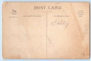 New Year Postcard Song Bird And Mistletoe Ringing Bells Wolf c1910's Antique