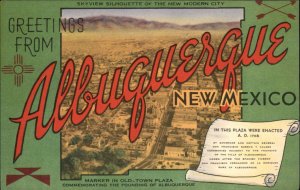 Albuquerque New Mexico NM Large Letter Linen Vintage Postcard